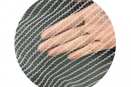 HAIL NET